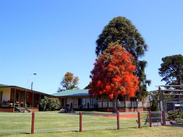 Snowy River Homestead Newmerella Buitenkant foto