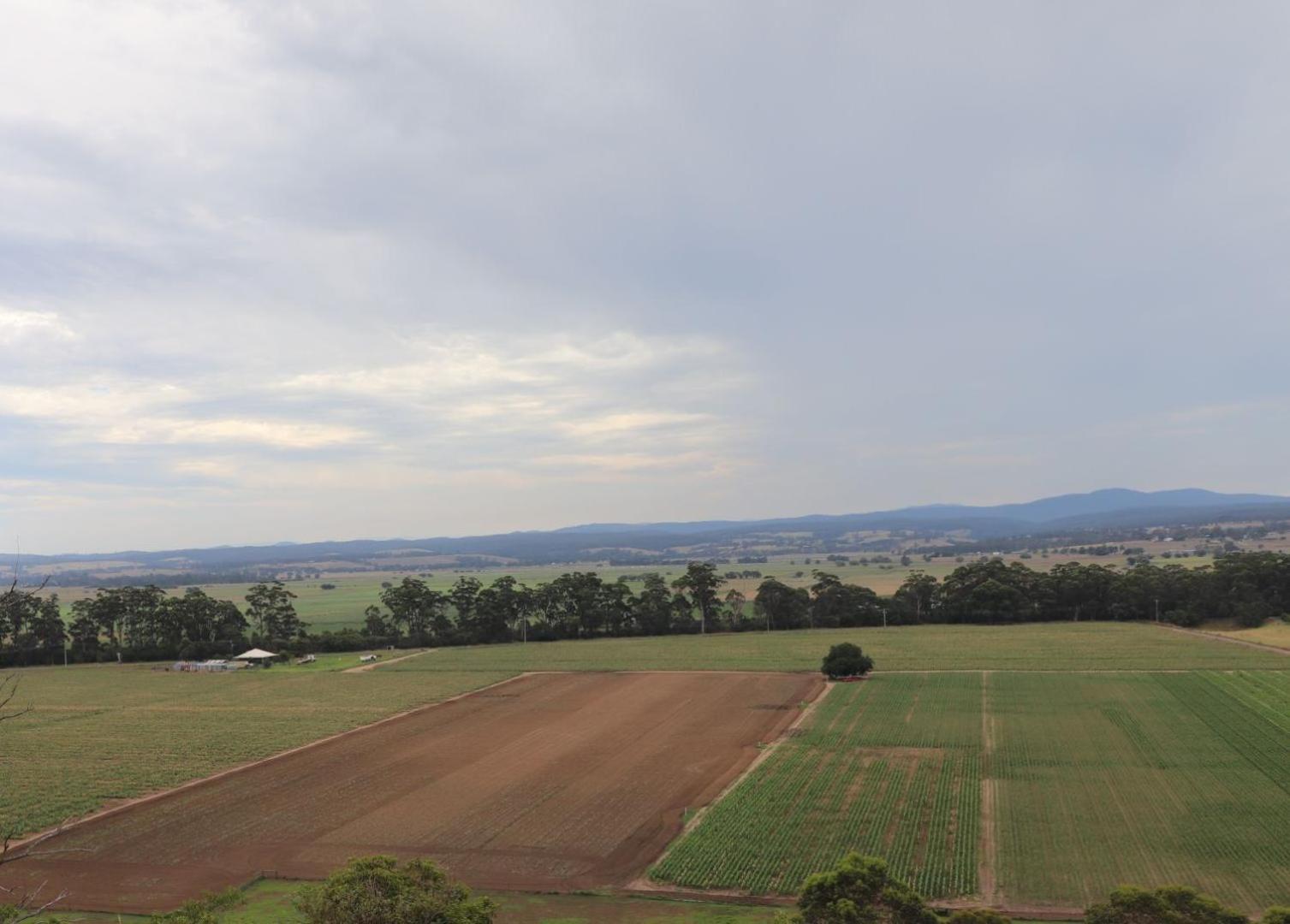 Snowy River Homestead Newmerella Buitenkant foto